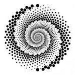 Meet your Posher, Riley